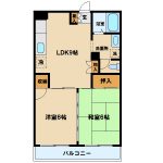 三鷹駅徒歩19分、武蔵野市緑町2丁目の2DK賃貸マンション(間取)